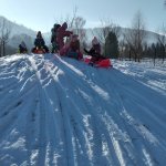 phoca_thumb_m_snh krteci 16 Fotogalerie